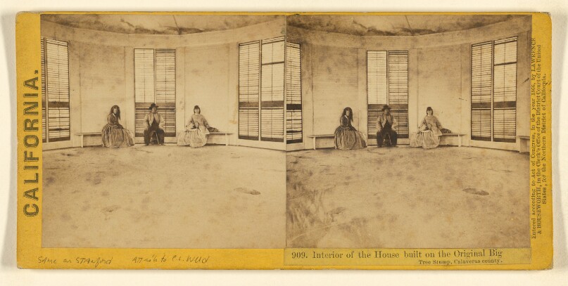 Interior of the House built on the Original Big Tree Stump, Calaveras county.
