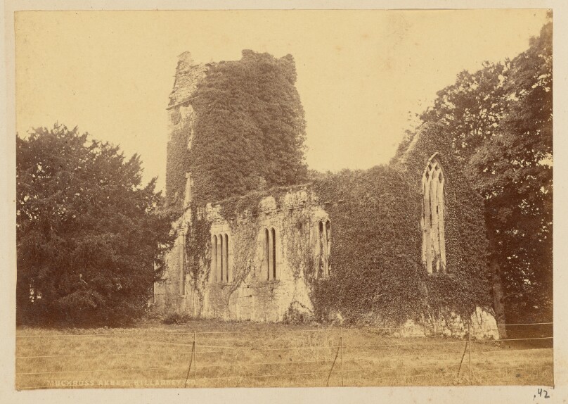 Muckross Abbey, Killarney