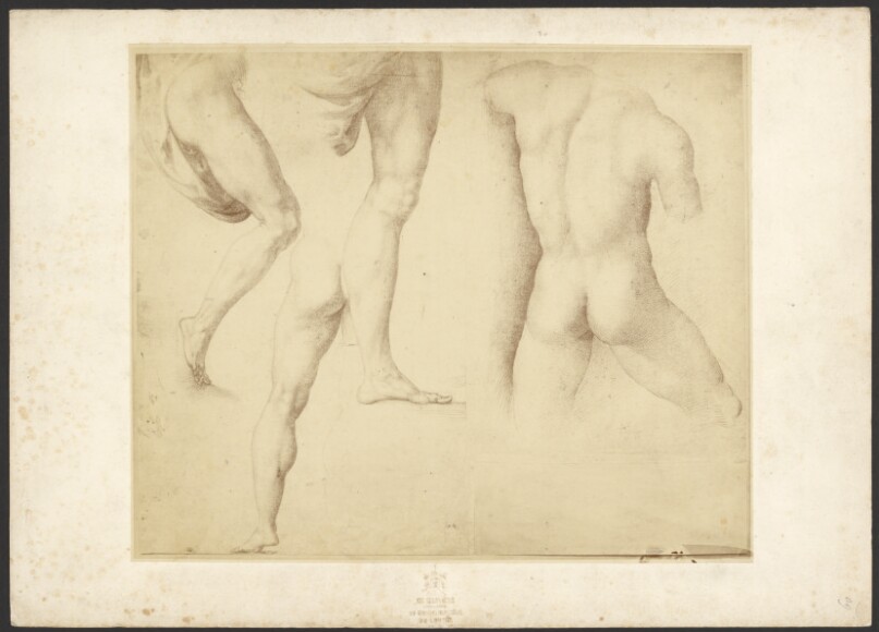 [Three Male Nude Figure Studies by Raphaël]