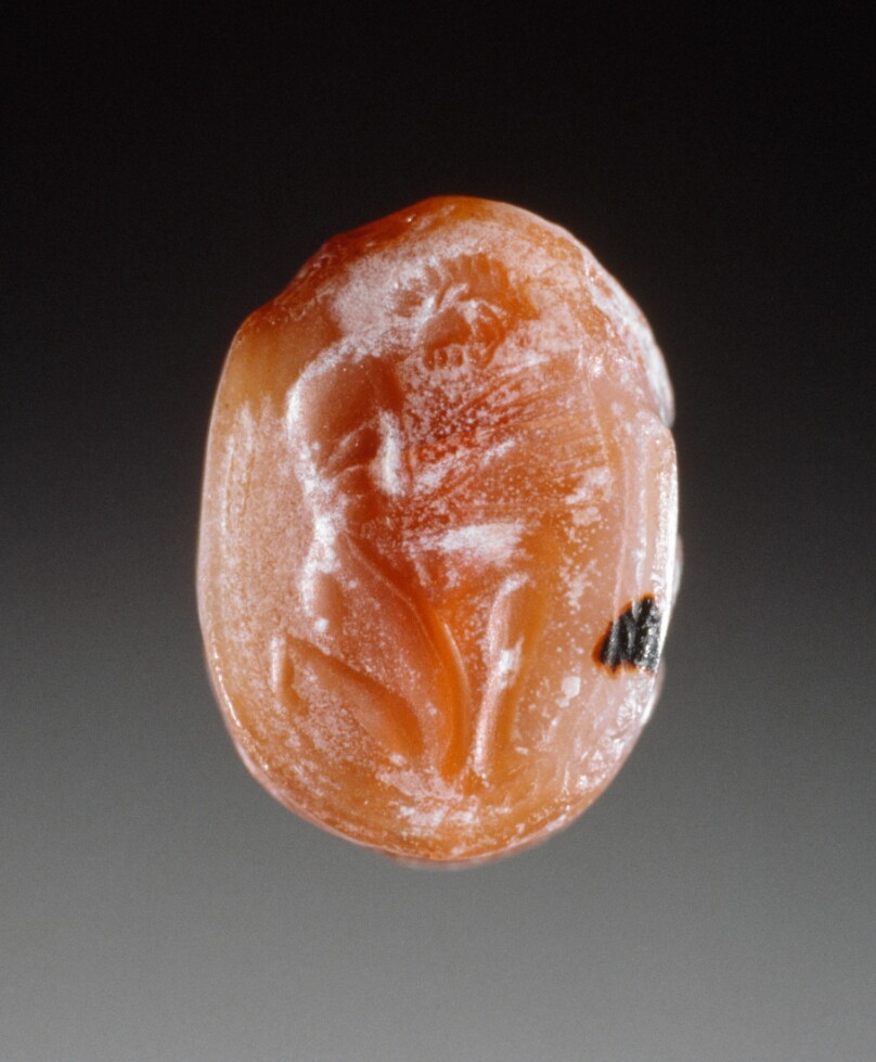 Engraved Scarab