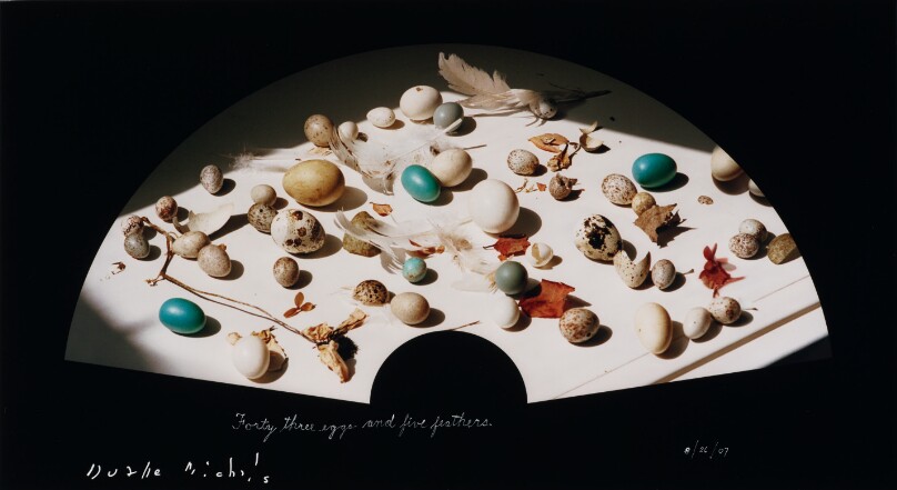Forty-Three Eggs and Five Feathers