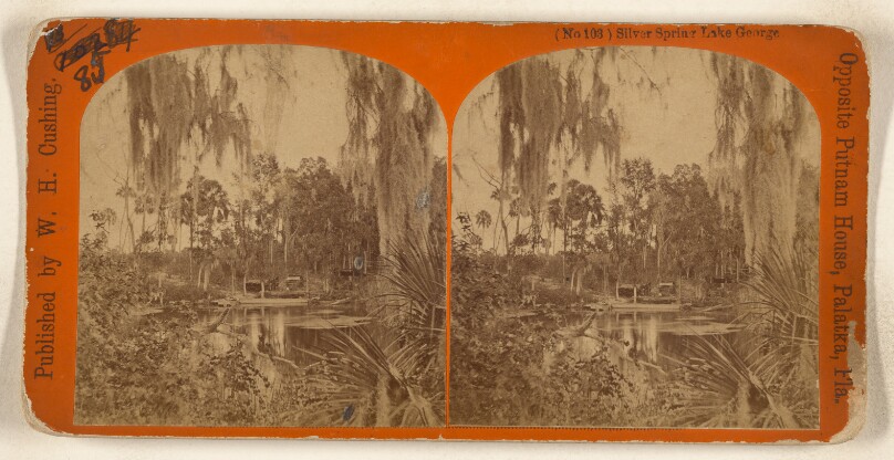 Silver Spring Lake George [Florida]