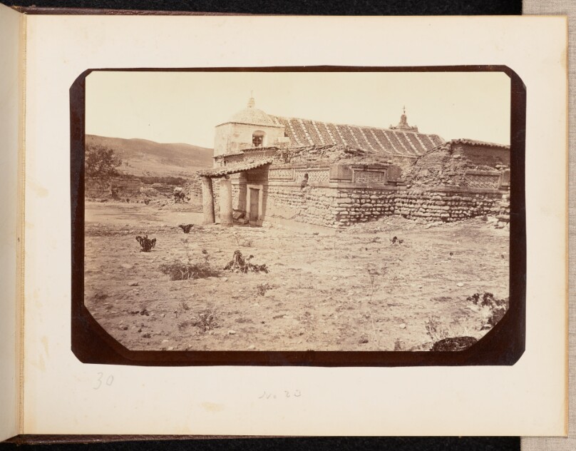 Vista 30
