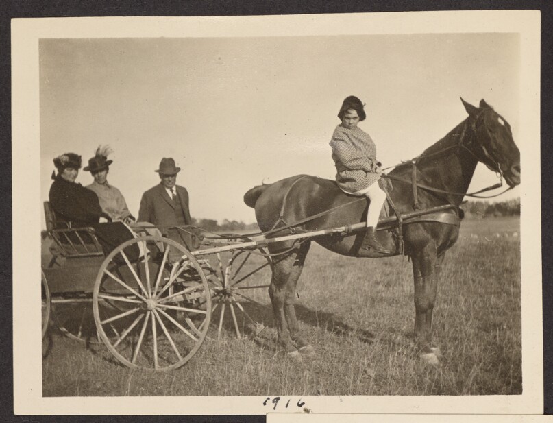 [Group portrait in a horse-drawn carriage]