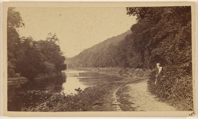 [Cliveden Wood, on The Thames]
