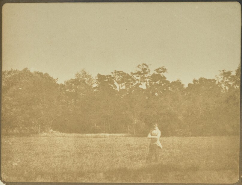 [Landscape with Trees, Field, and Single Figure]