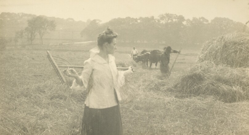 [Gertrude O'Malley in Field with Rake]