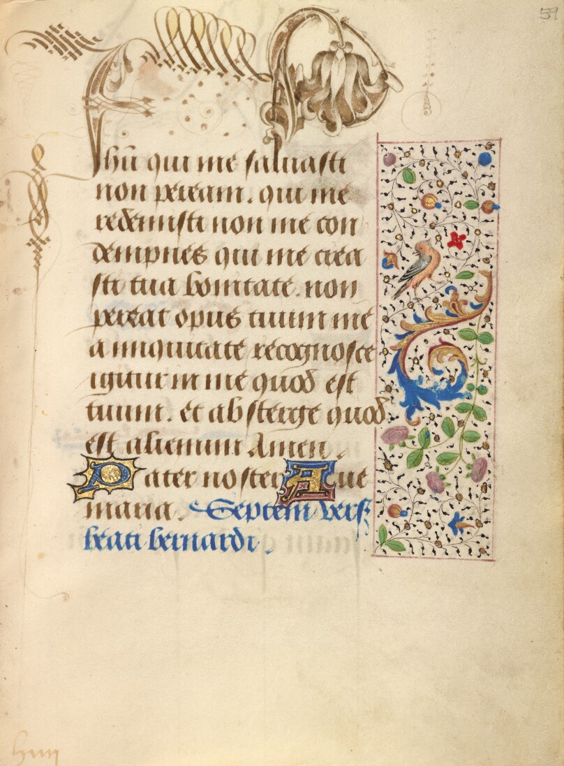 Decorated Text Page