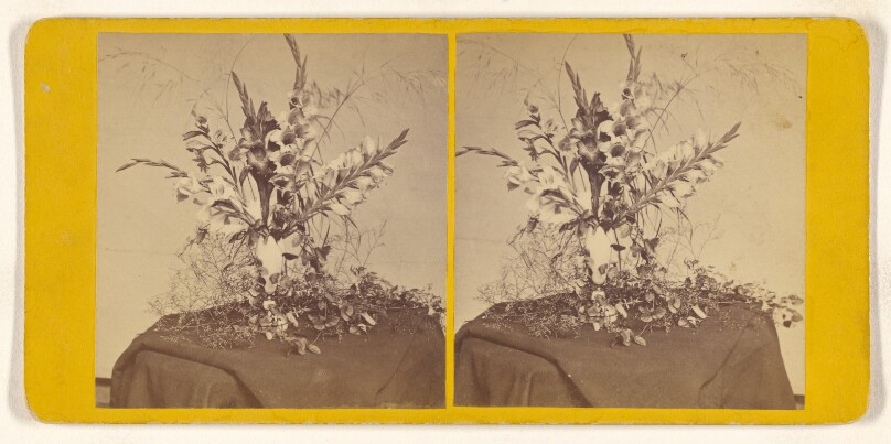 [Flower arrangement]