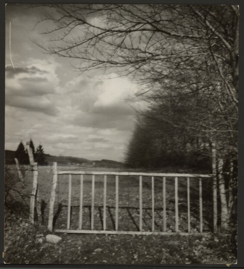 Paysage [Landscape]