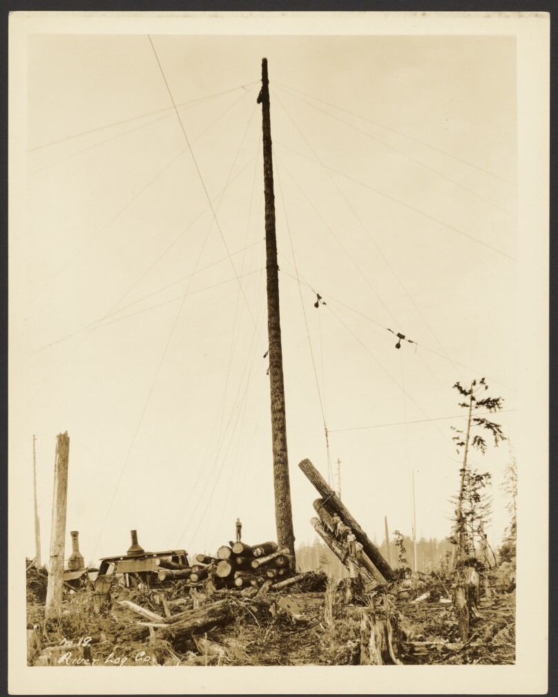 River Log Co.