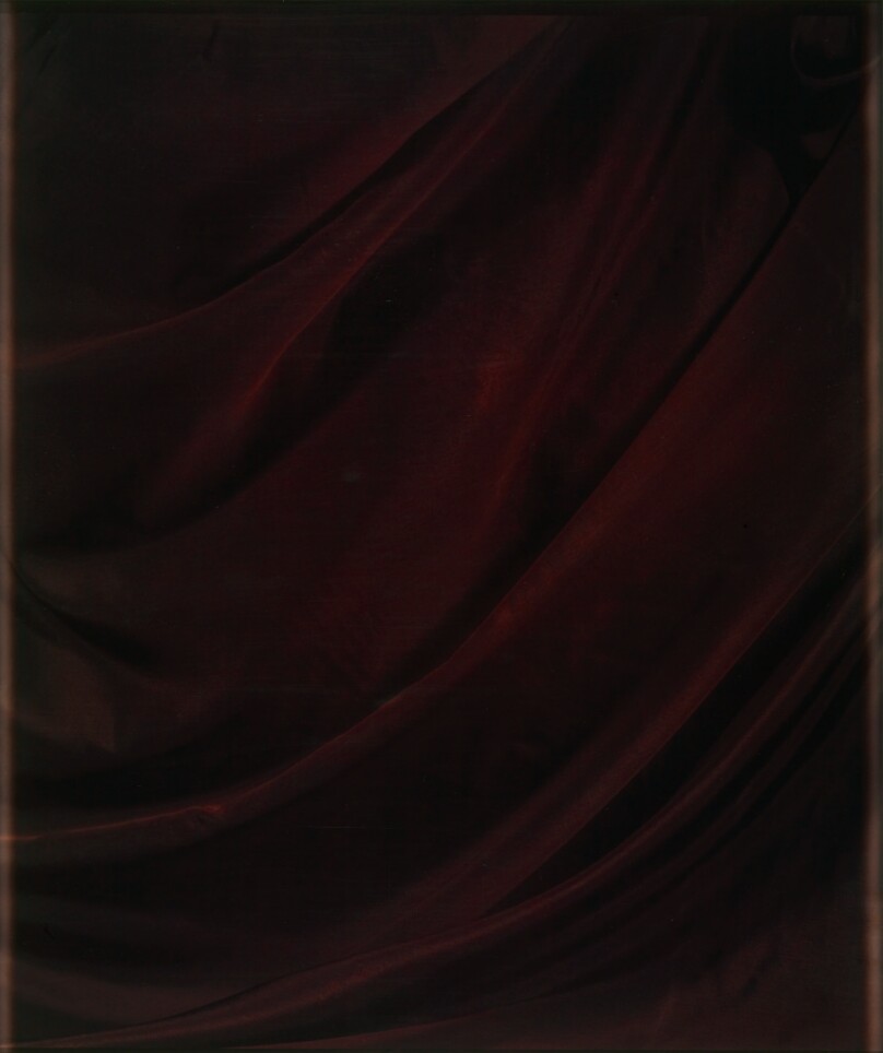 Brown Polaroid IV