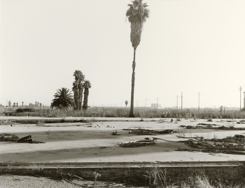 Los Cerritos Wetlands #6