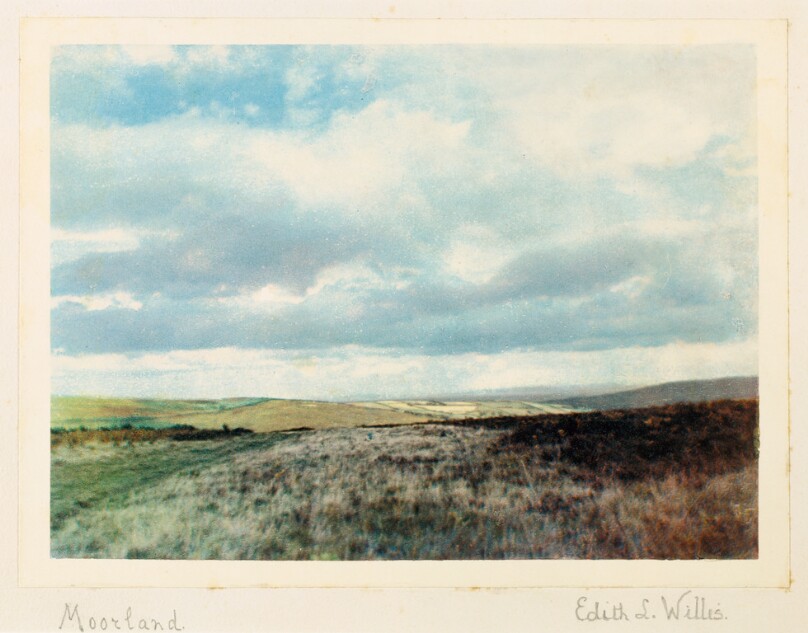 Moorland