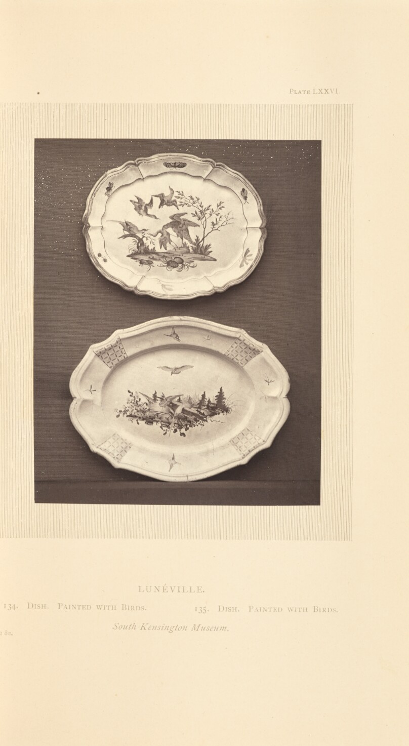 [Two plates]