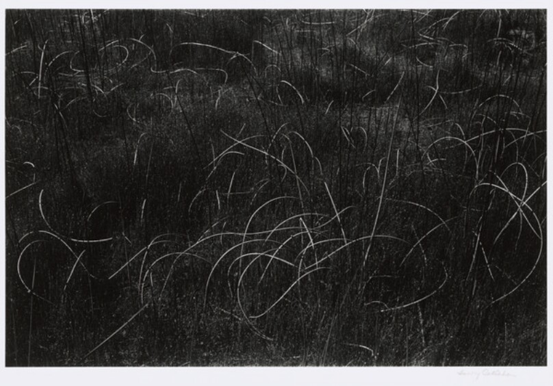 Grass, Wisconsin