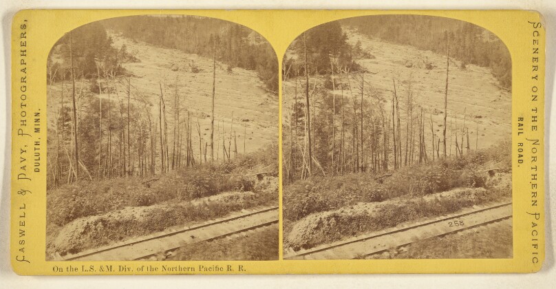 On the L.S. & M. Div. of the Northern Pacific R.R.