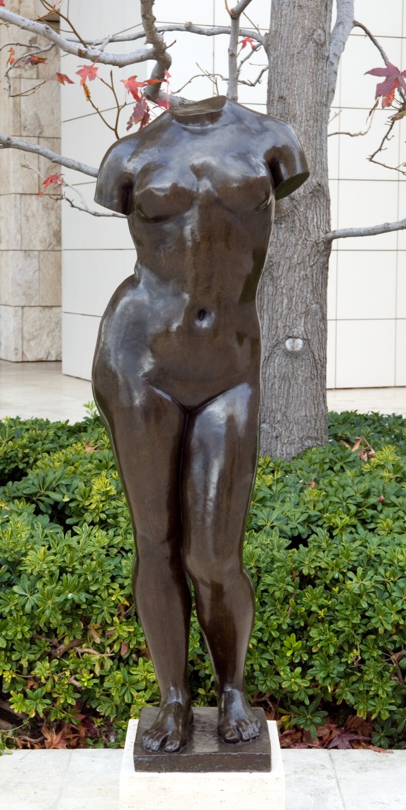 Torse de l'Ete