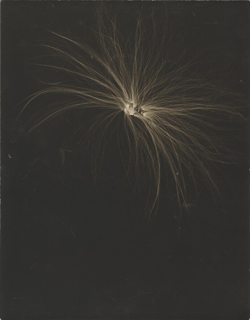 Untitled, New York