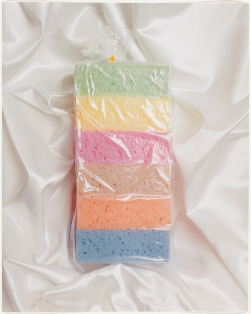 Sponges