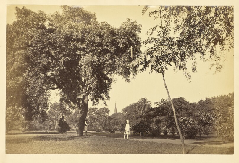 [Wingfield Park, with Church Spire in the Background, Lucknow]