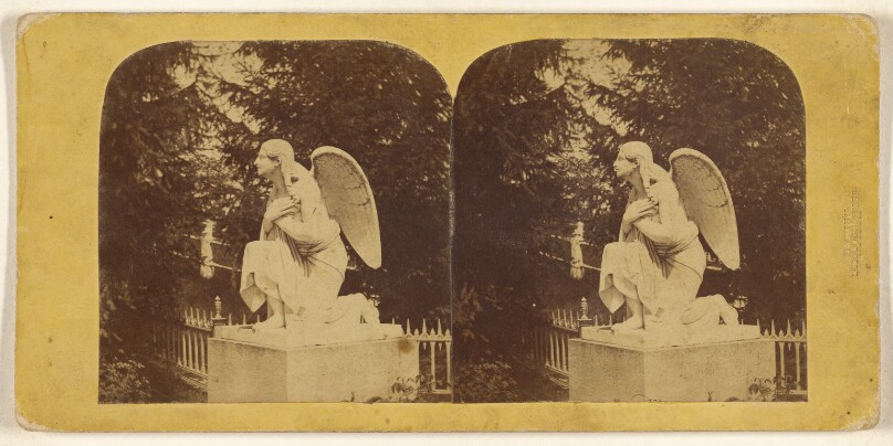 [Angel to Charlotte Canda, Greenwood]