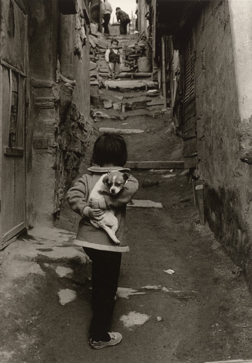 [Young Girl Walking Up an Alley Carrying a Dog on Her Back]