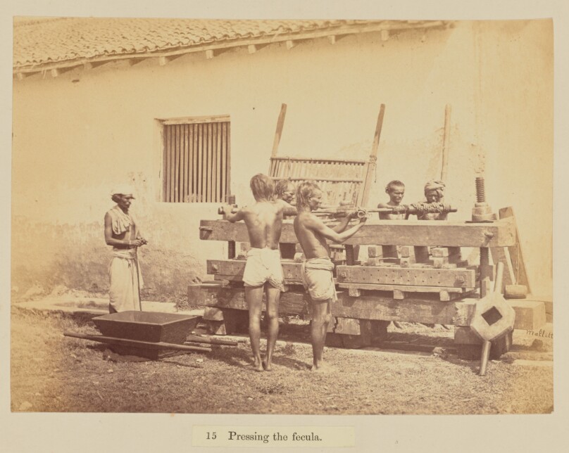 Pressing the fecula