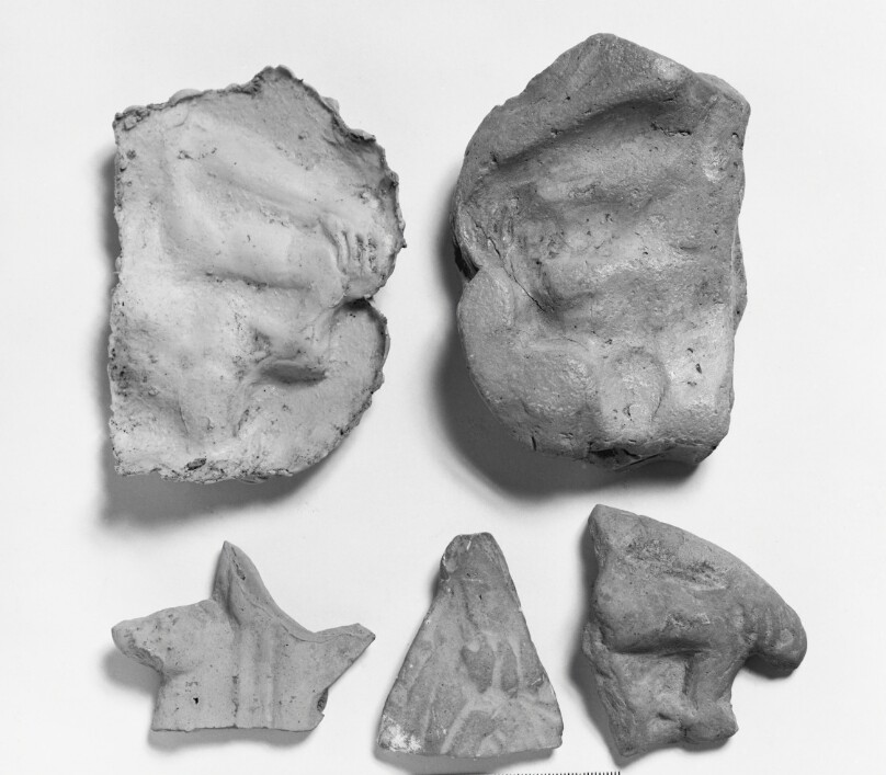 Mold Fragment