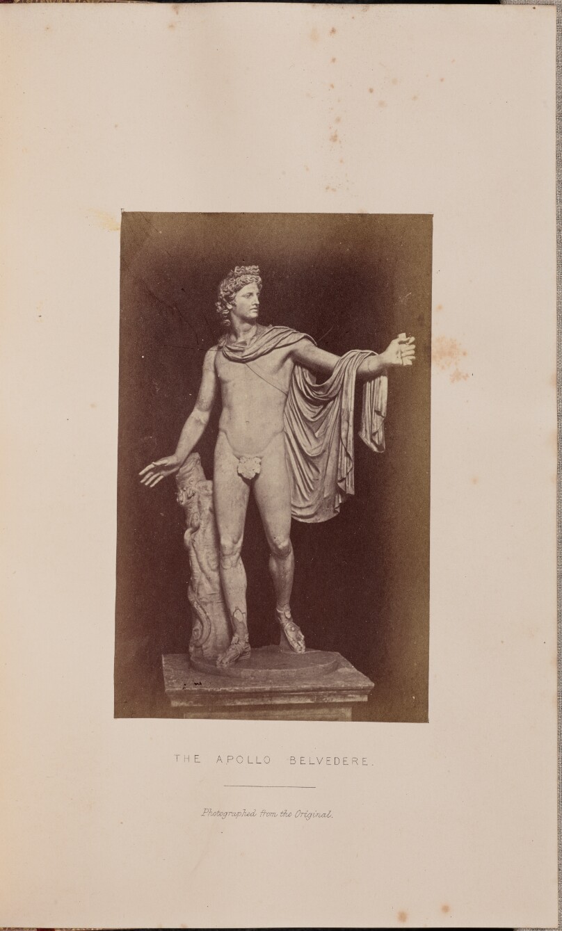 The Apollo Belvedere