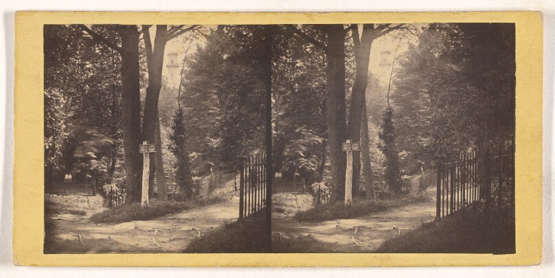 [Observatory in the distance, Mount Auburn, Massachusetts]
