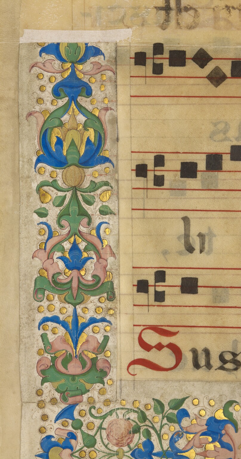 Decorative Border