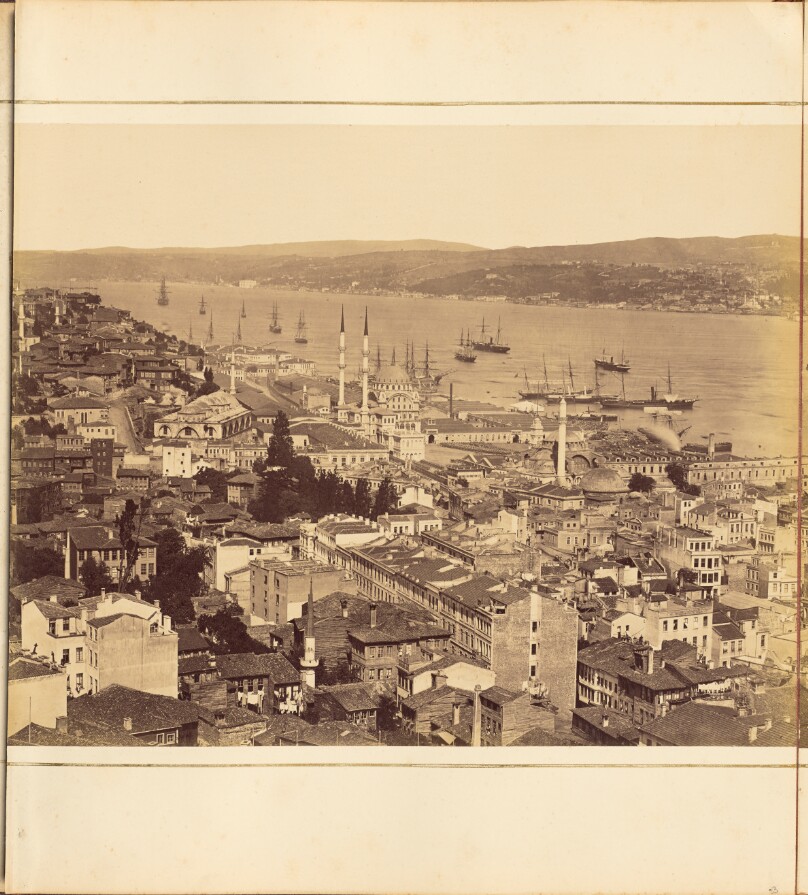 [Plate 3]