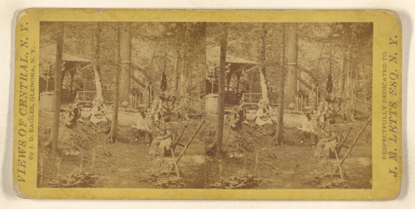 [Pic Nic Party at Fern Wood, N.Y.]