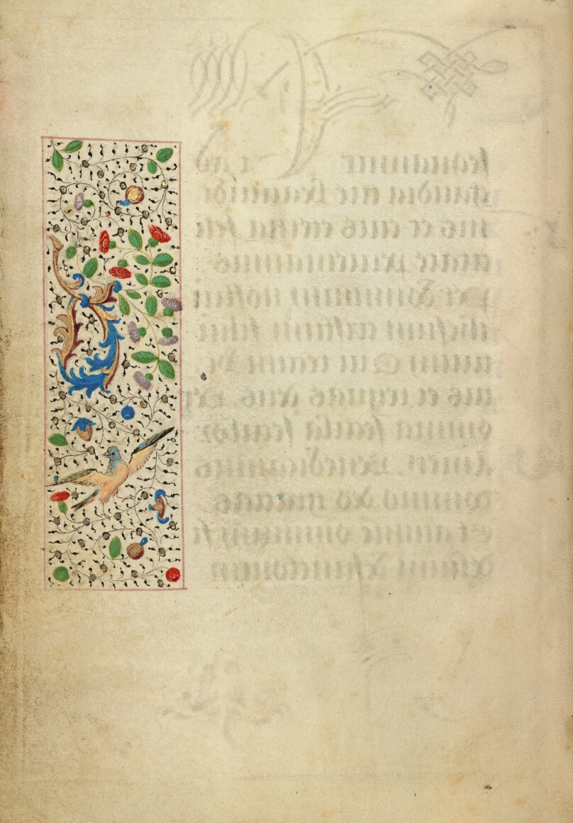 Decorated Text Page