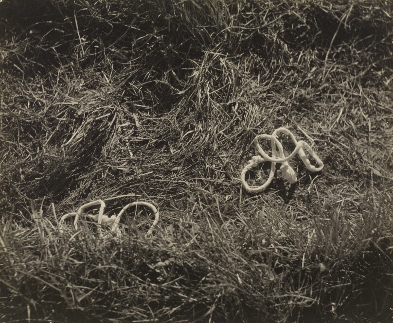 (Untitled) [String shapes in grass]
