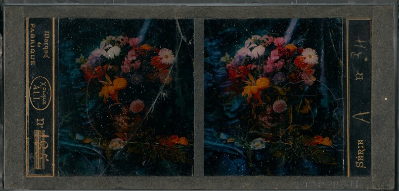[Still life of flowers and ferns]