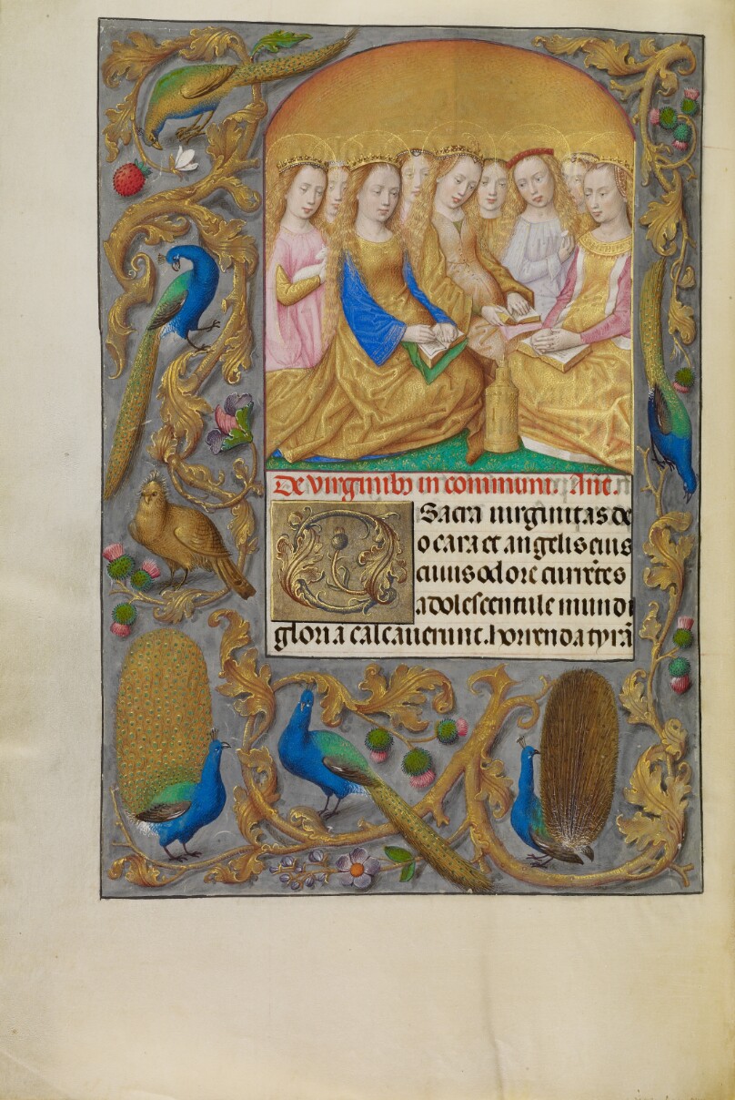 Virgin Saints