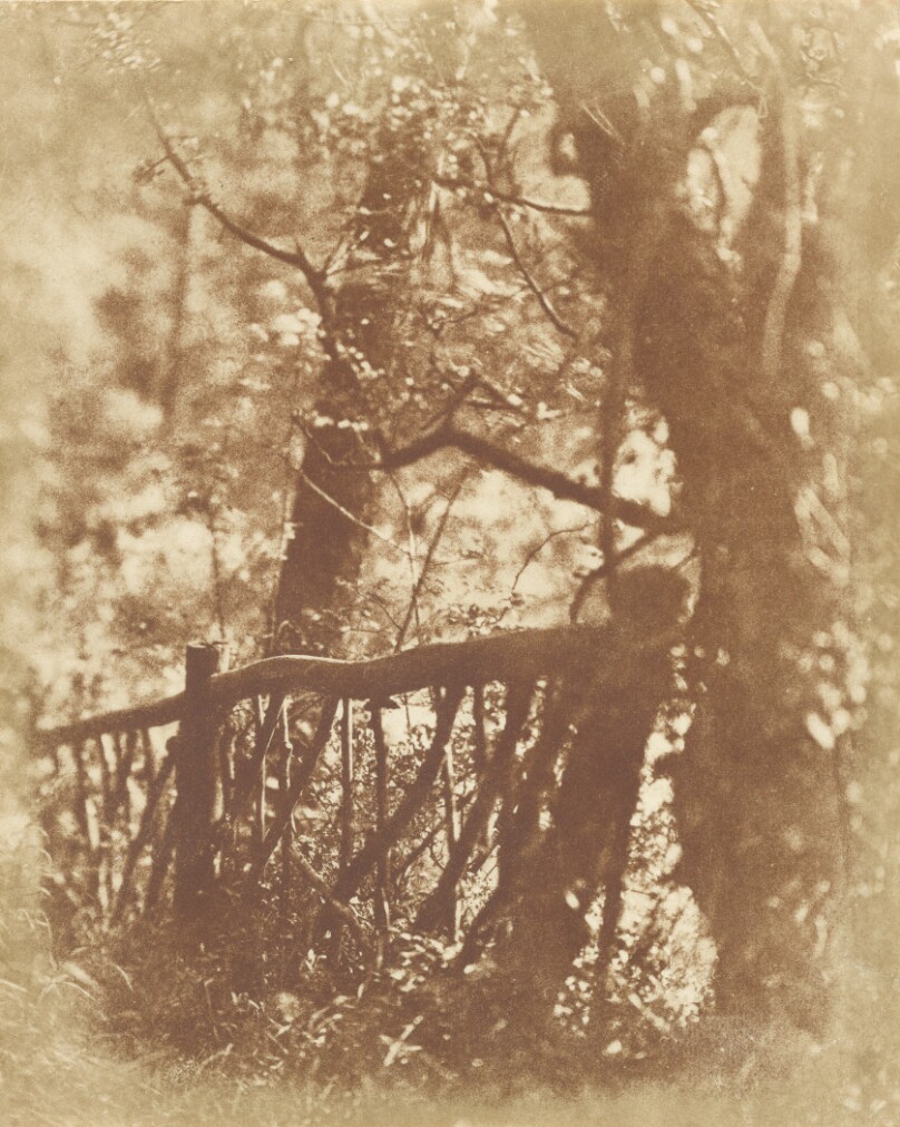 [Colinton Wood]