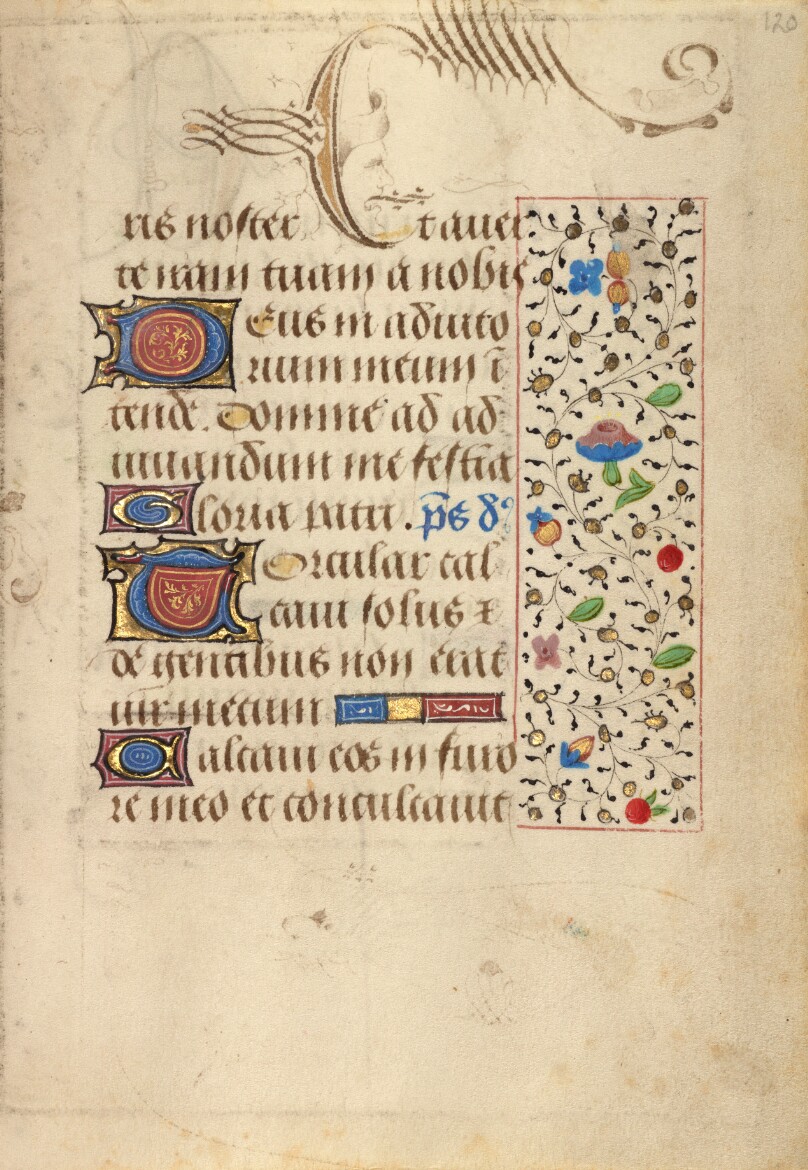 Decorated Text Page