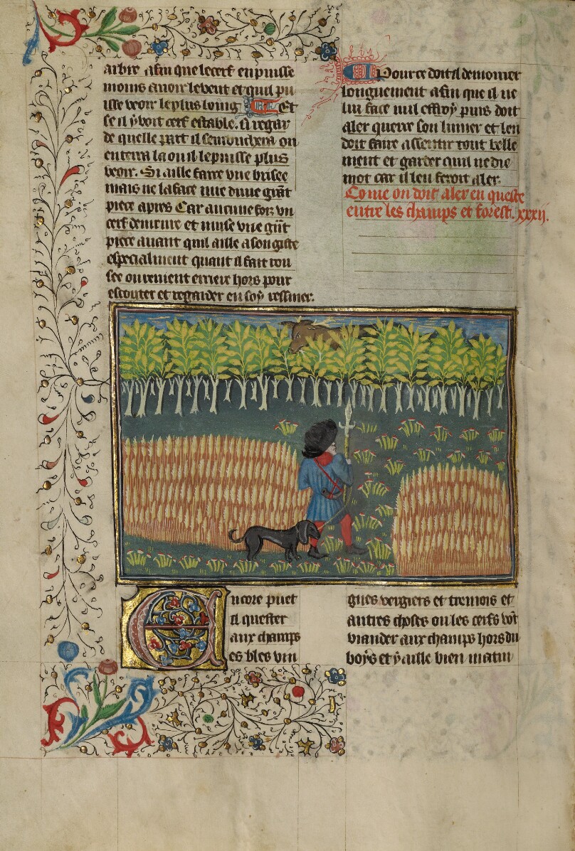 A Hunter and a Dog Tracking between a Field and a Forest