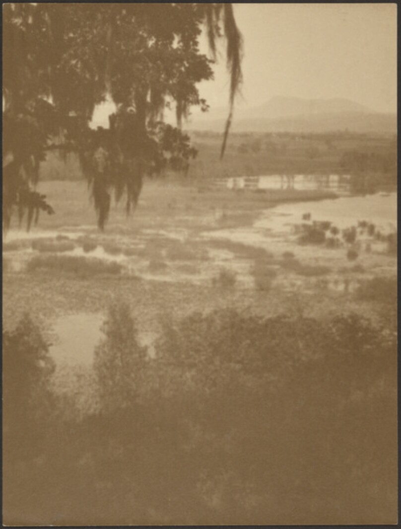 [Landscape]
