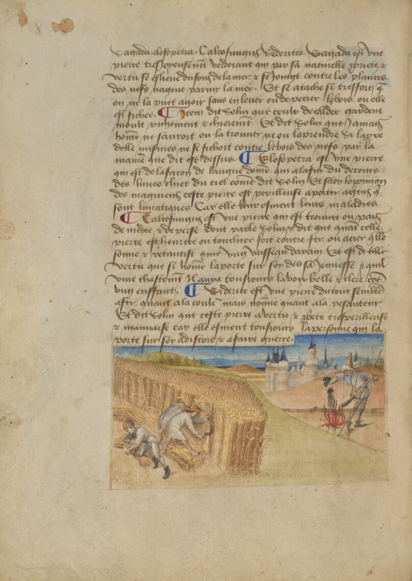 Master of the Geneva Boccaccio