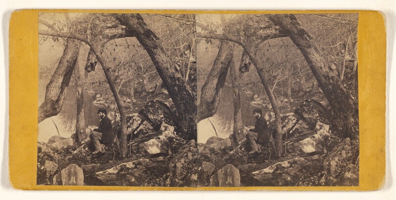 Nature's Arch. [Beauties of the Brandywine, Delaware.]