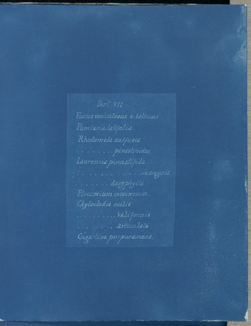 [Index of Specimens - Part VII]