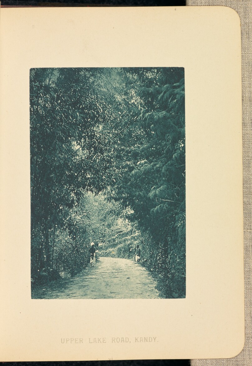 Upper Lake Road, Kandy