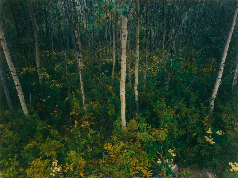 Slanting Orange Lines, Route 17, New York