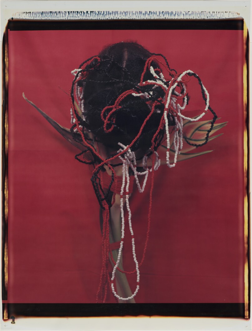 Untitled [center]