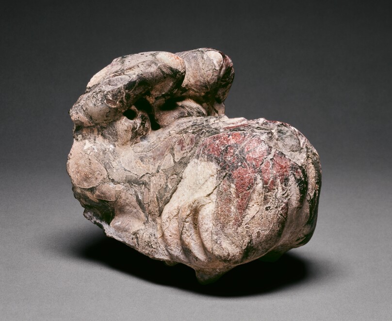 Head of a Sea Monster