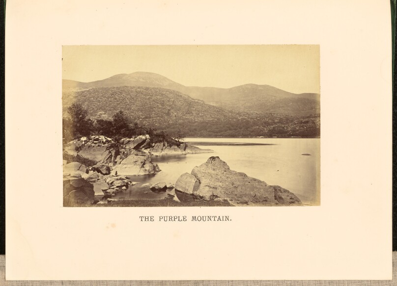 The Purple Mountain